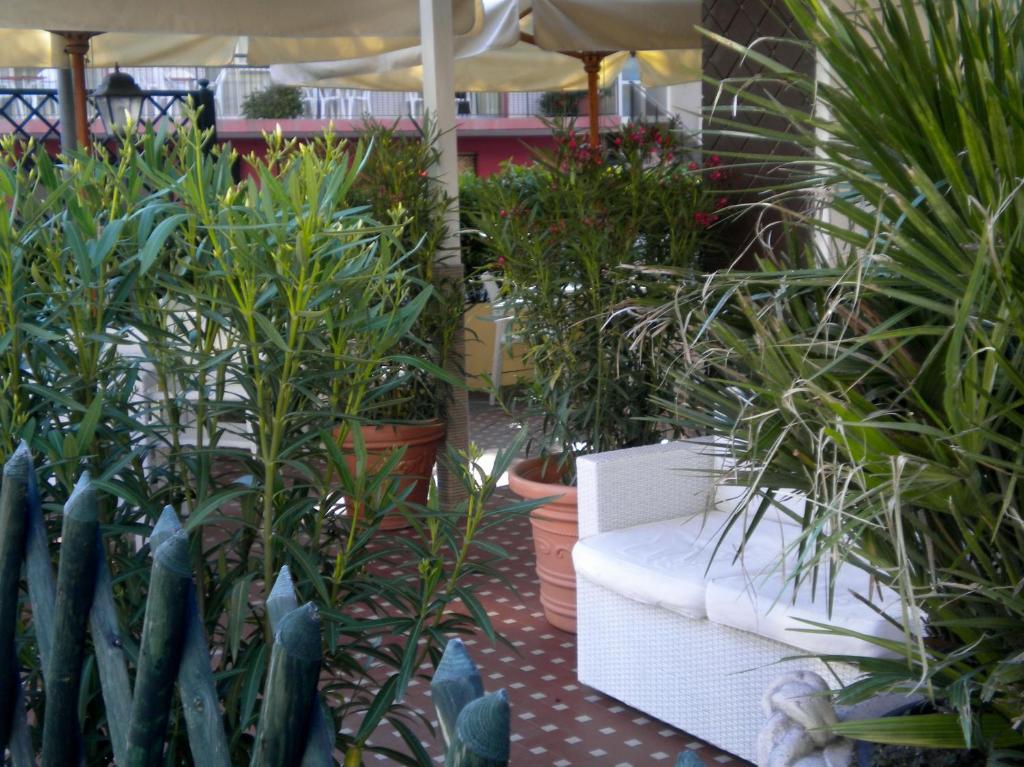 Hotel Nova Dhely Rimini Luaran gambar